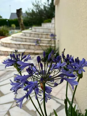 Jardin de l'établissement Gîte clair matin Classé 3 étoiles
