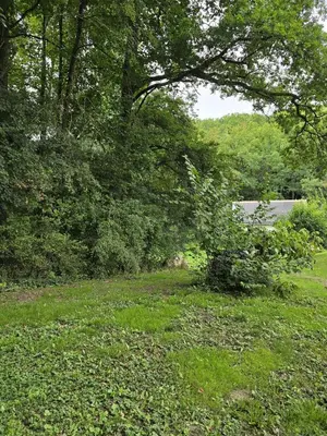 Paysage naturel près de le camping