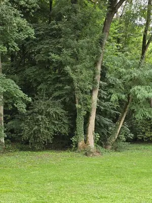 Jardin de l'établissement Trianon Camp's - Micro-camping privatif proche château de Villandry