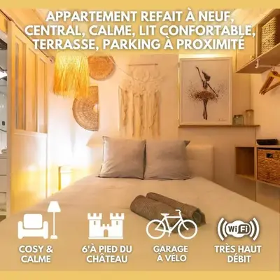 Blois hypercentre