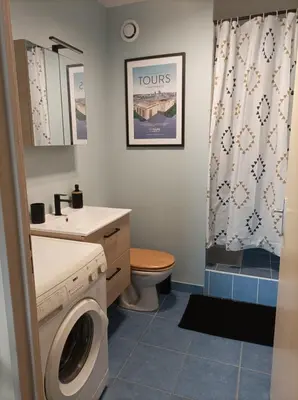 Salle de bains dans l'établissement T1 cosy 4 personnes à Tours Nord