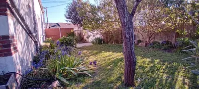 Jardin de l'établissement Chez ISA chambre chez l'habitant Léa