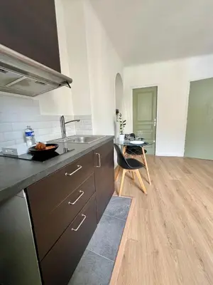 Cuisine ou kitchenette dans l'établissement Studio Vienne - Spacieux et confortable en plein centre