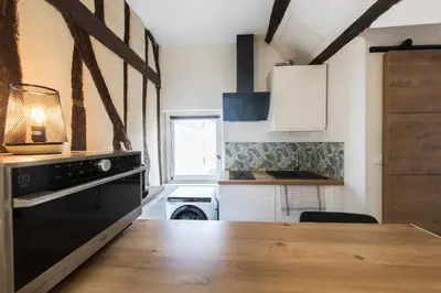 Cuisine ou kitchenette dans l'établissement Studio hyper center of Tours