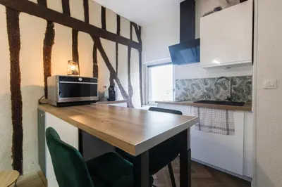 Cuisine ou kitchenette dans l'établissement Studio hyper center of Tours