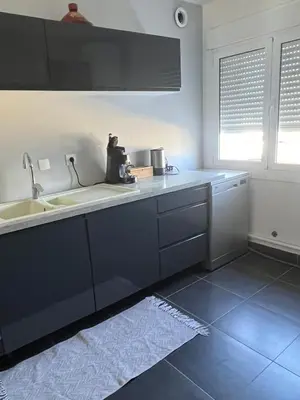 Cuisine ou kitchenette dans l'établissement Appartement sympathique