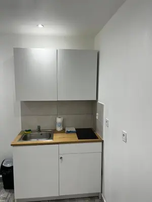 Cuisine ou kitchenette dans l'établissement Studio Zoo & Châteaux