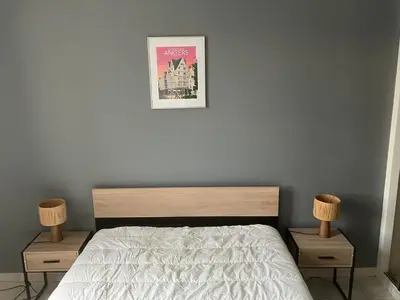 Un ou plusieurs lits dans un hébergement de l'établissement Grand appartement centre ville château St Pierre