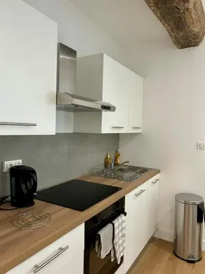 Cuisine ou kitchenette dans l'établissement Quiet apartment - Touraine