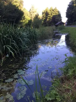 Paysage naturel près de la maison de vacances