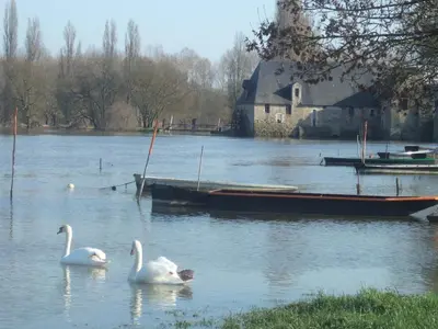 Vue sur la rivière ou le fleuve situé(e) à proximité de l'appartement