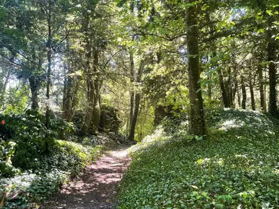 Jardin de l'établissement Relais des Hautes Roches