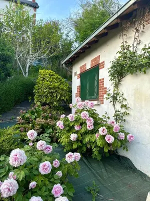 Jardin de l'établissement La Pause Blésoise - Proche Gare Blois