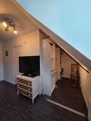 Télévision ou salle de divertissement dans l'établissement Logement sur la Loire à vélo