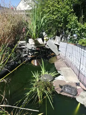 Jardin de l'établissement Maison d'hôte avec jardin