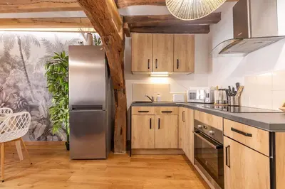 Cuisine ou kitchenette dans l'établissement Le Coconut 5 min du Zoo