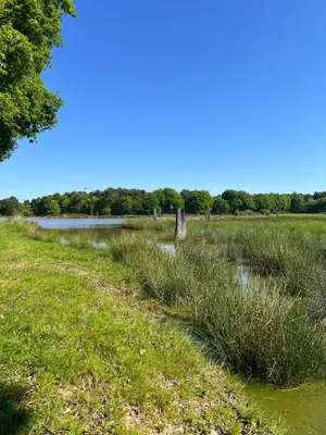 Paysage naturel près de la villa