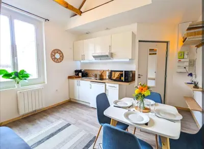 Cuisine ou kitchenette dans l'établissement T2 bis moderne avec mezzanine calme hyper centre