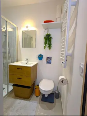 Salle de bains dans l'établissement T2 bis moderne avec mezzanine calme hyper centre