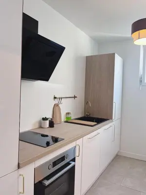 Cuisine ou kitchenette dans l'établissement Supperbe appartement Saumur