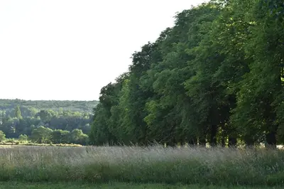 Paysage naturel près de le B&B/chambre d'hôtes