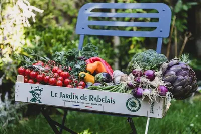 Jardin de l'établissement Clos du Maraicher Villandry