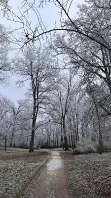 L'établissement Le Petit Bois d'Amour en hiver