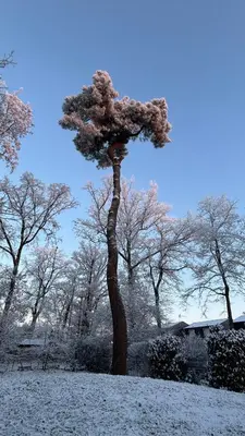 L'établissement Le Petit Bois d'Amour en hiver