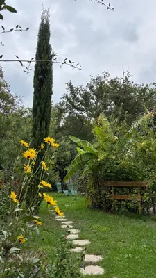 Jardin de l'établissement Le Petit Bois d'Amour