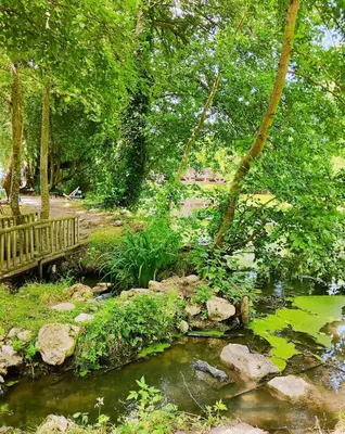 Paysage naturel près de l'appartement