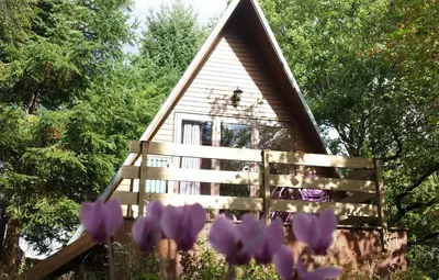 Jardin de l'établissement La Rossignolerie - Cabane aux oiseaux