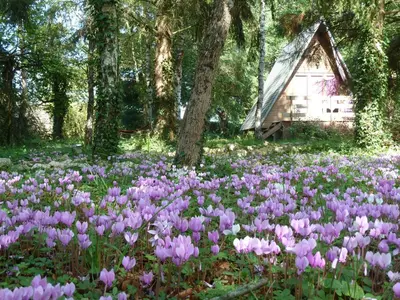 Jardin de l'établissement La Rossignolerie - Cabane aux oiseaux