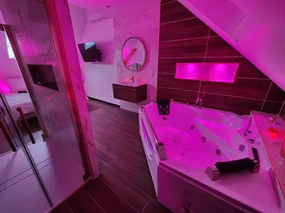 Salle de bains dans l'établissement Le coq'oon de Challes- love room