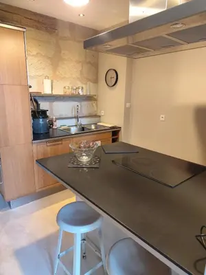 Cuisine ou kitchenette dans l'établissement Logis troglodyte cosy & vue sur la Loire