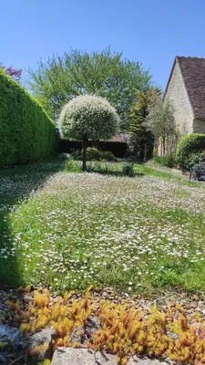 Jardin de l'établissement Gîte authentique près Zoo de Beauval et Châteaux