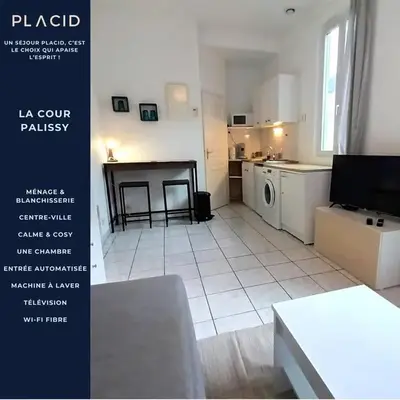 La Cour Palissy - T2 - Wifi - TV