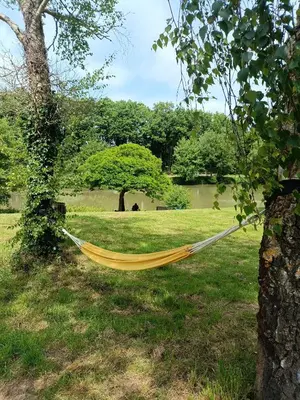 Paysage naturel près de le camping