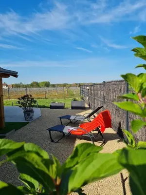 Jardin de l'établissement La Petite Loge des Vignes Private Jacuzzi