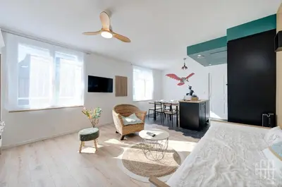 Télévision ou salle de divertissement dans l'établissement Logement avec Terrasse - Château d'Amboise - Wifi