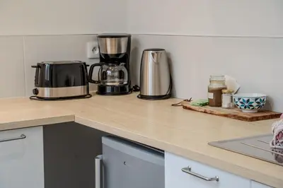 Cuisine ou kitchenette dans l'établissement Amansis grand t2 jardin proche gare
