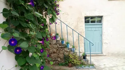 Plan de l'établissement Le Clôt Saint-Saturnin, charme et sérénité