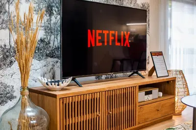 Télévision ou salle de divertissement dans l'établissement Le Céleste - Parking Privatif - Terrasse - Netflix