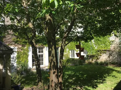 Jardin de l'établissement La Maison Saint Aignan