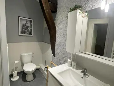 Salle de bains dans l'établissement Gîte de charme avec parking, animaux admis, proche de Tours - FR-1-381-638