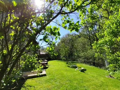 Jardin de l'établissement Gîte de charme avec parking, animaux admis, proche de Tours - FR-1-381-638