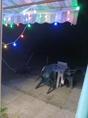 Animal ou animaux domestique(s) séjournant avec des clients dans l'établissement Maisonnette