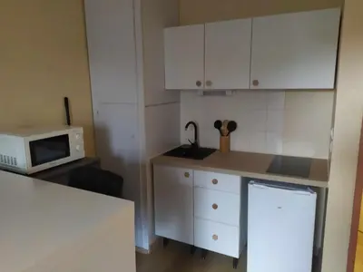 Cuisine ou kitchenette dans l'établissement T1 cosy 2 personnes à Tours Sud