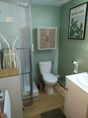 Salle de bains dans l'établissement T1 cosy 2 personnes à Tours Sud