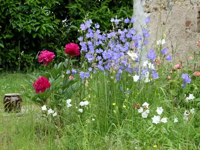 Jardin de l'établissement Chez laurette