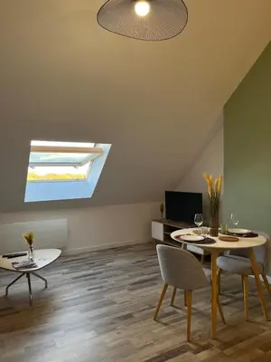 Télévision ou salle de divertissement dans l'établissement Appartement vue Loire